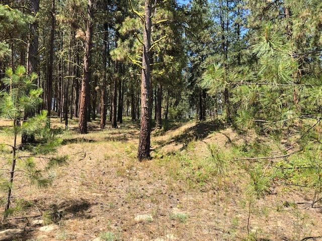 Xxx Tipton Road Kettle Falls, WA 99141 - Photo 10 of 15 Gallery Image 10