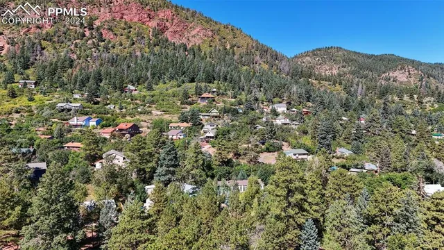 a view of a large tree with a house in the background