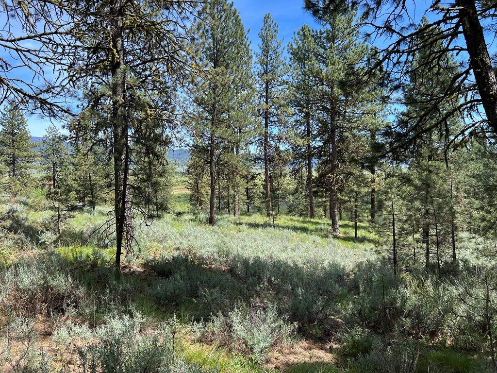 B22-l13 Vardon Road, Unit 13 New Meadows, ID 83654 - Photo 11 of 16