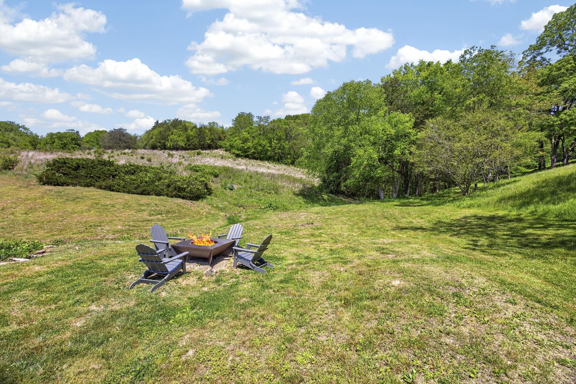 1370 Dog Branch Road Hartsville, TN 37074 - Photo 42 of 60 a view of a lake with a yard