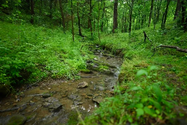 $1,250,000 | 1370 Dog Branch Road, Hartsville, TN 37074