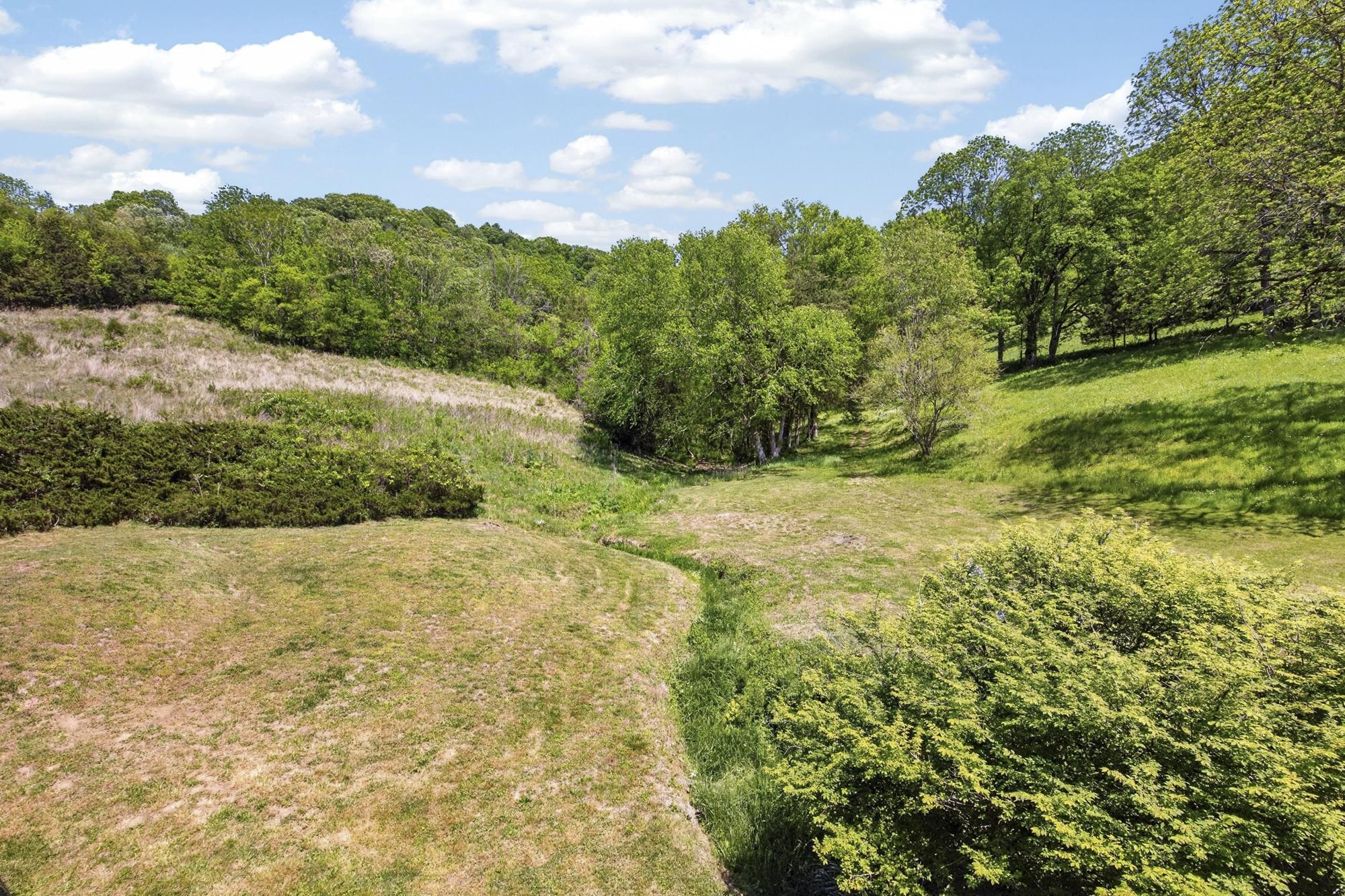 1370 Dog Branch Road Hartsville, TN 37074 - Photo 44 of 60 a view of a yard with an trees