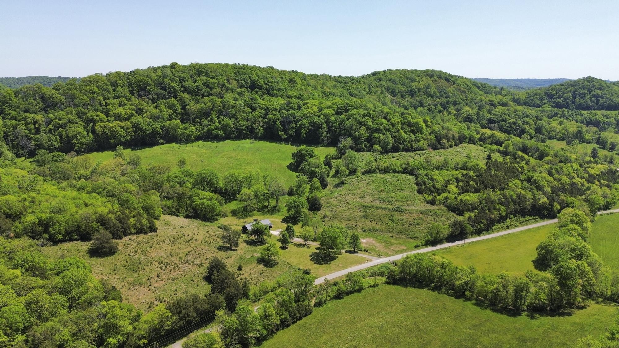 1370 Dog Branch Road Hartsville, TN 37074 - Photo 45 of 60 a view of a lush green forest with lots of trees