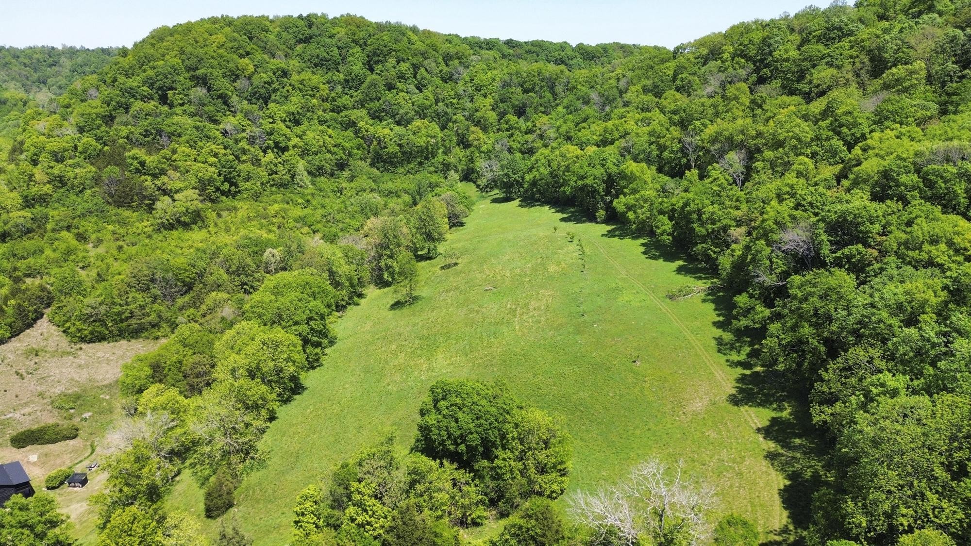 1370 Dog Branch Road Hartsville, TN 37074 - Photo 51 of 60 a view of a garden