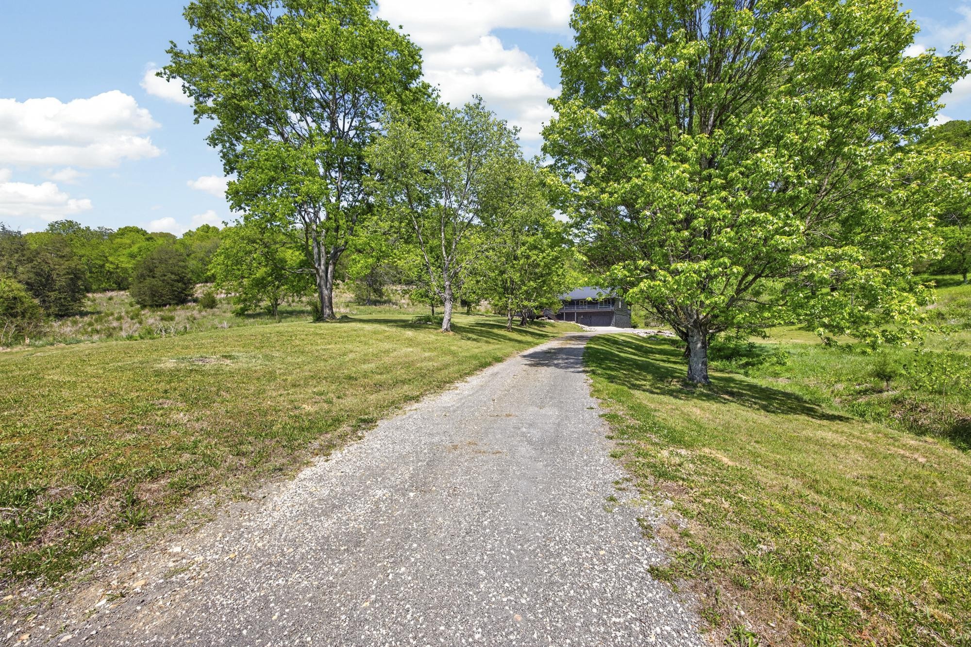 1370 Dog Branch Road Hartsville, TN 37074 - Photo 53 of 60 a view of a street with a yard