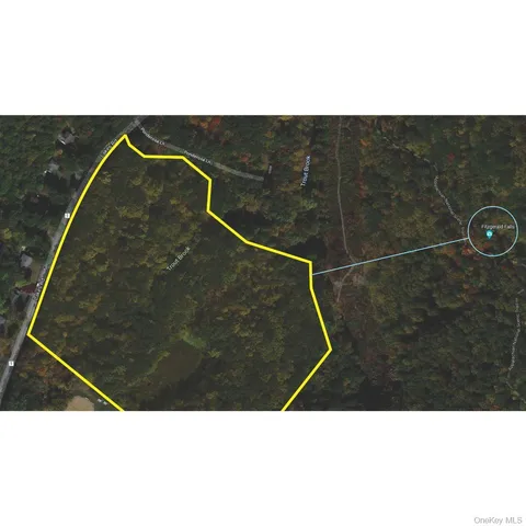 a view of a field with an ocean