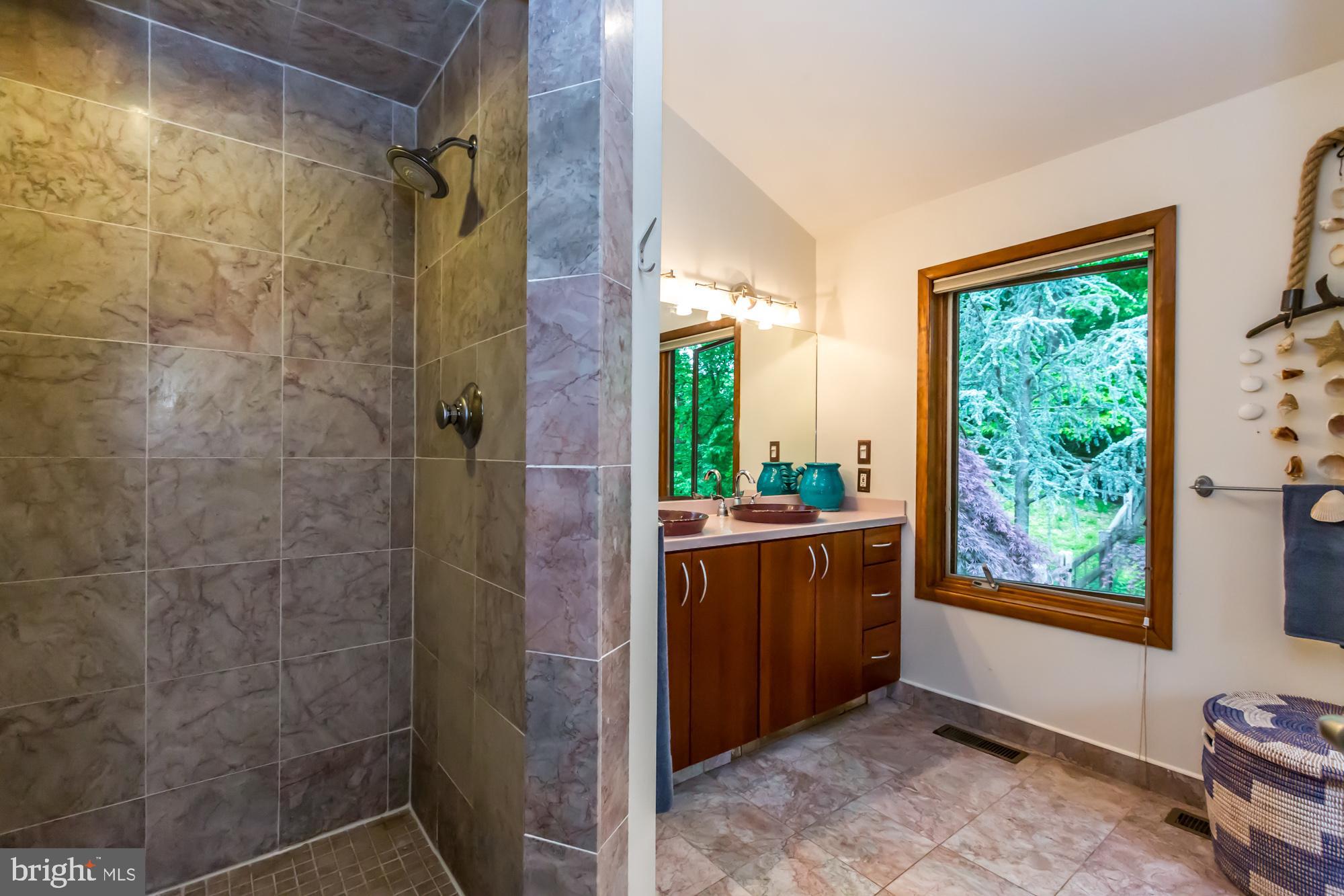 27 Hunt Hill Road Spring City, PA 19475 - Photo 16 of 33 Master bath