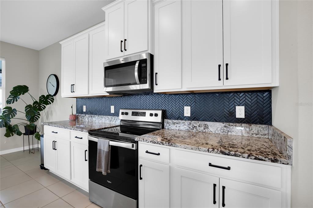 32265 Conchshell Sail Street Wesley Chapel, FL 33545 - Photo 15 of 55