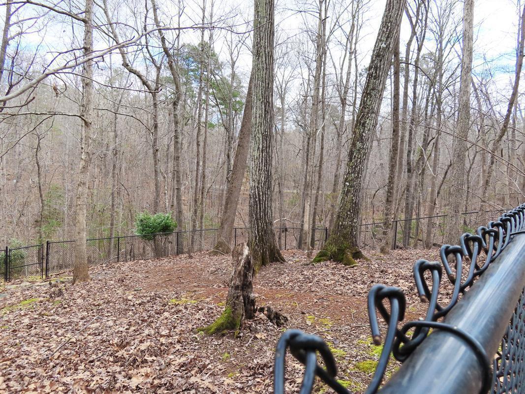 1249 Jordan Hills Loop Chapel Hill, NC 27517 - Photo 35 of 42 a view of a chairs and table in the backyard