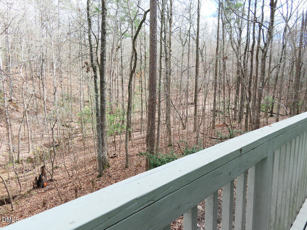 1249 Jordan Hills Loop Chapel Hill, NC 27517 - Photo 36 of 42 a view of balcony with trees
