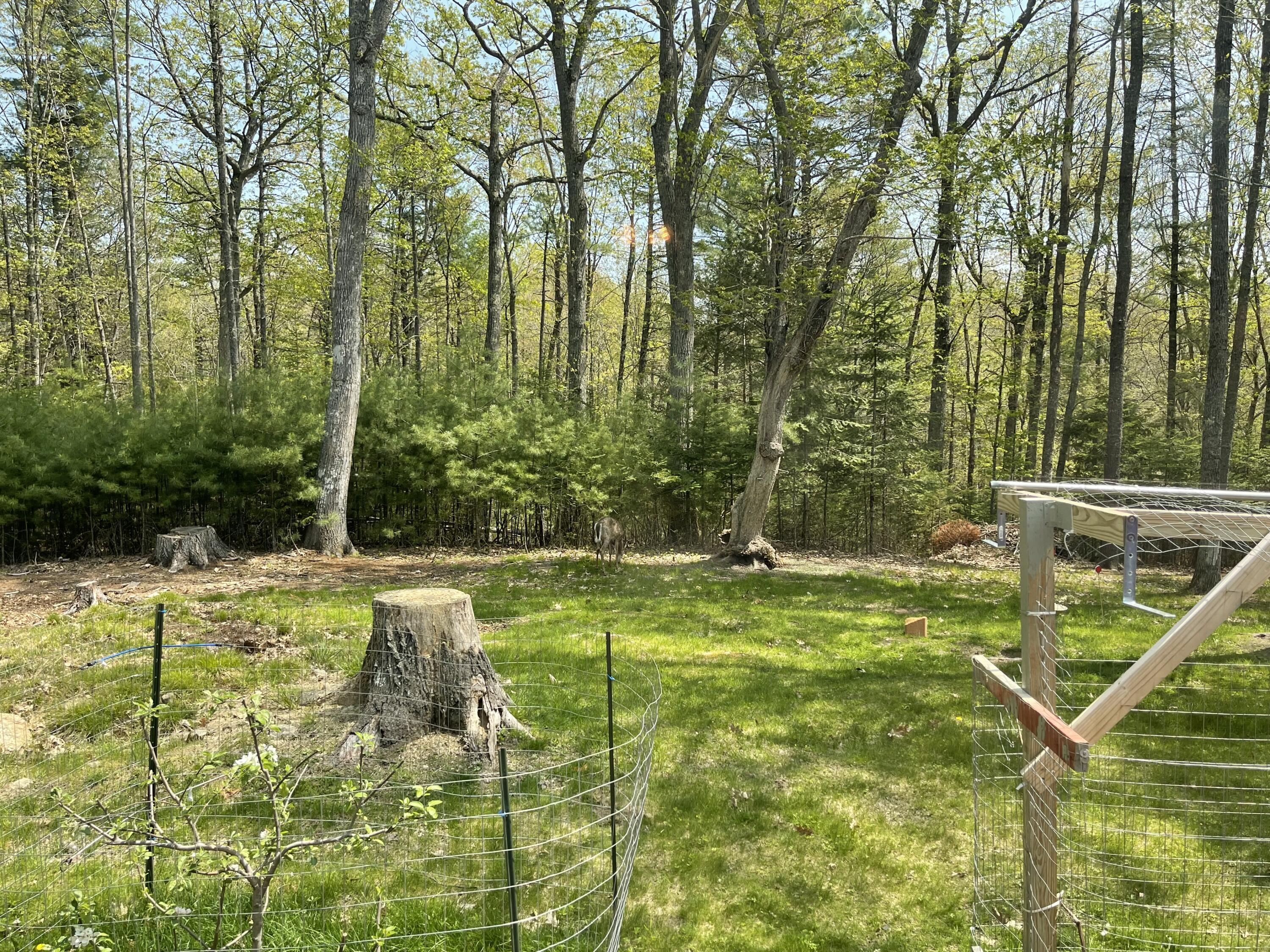 56 Crosby Road Bath, ME 04530 - Photo 31 of 40 IMG_2084 (1)