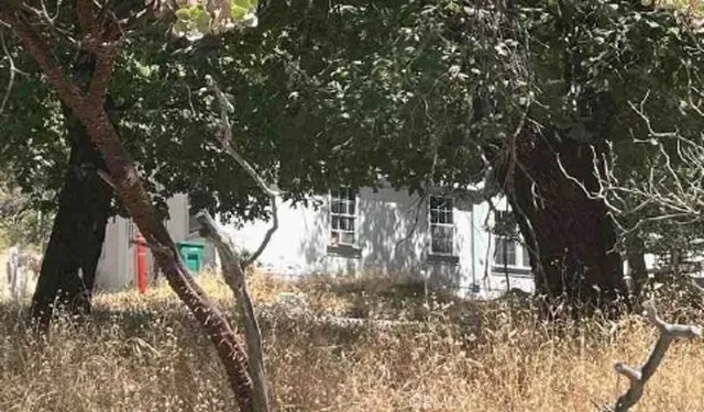 a view of covered with snow