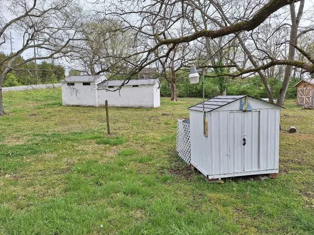 a view of backyard with wooden fence and a large tree