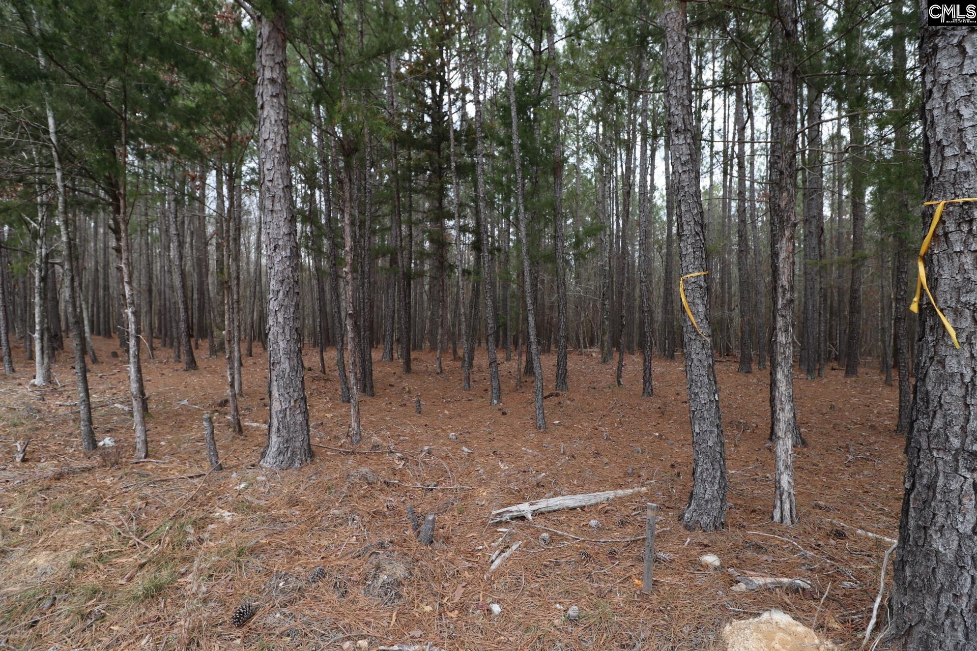 Lot 229 Granny Hill Road Prosperity, SC 29127 - Photo 45 of 61