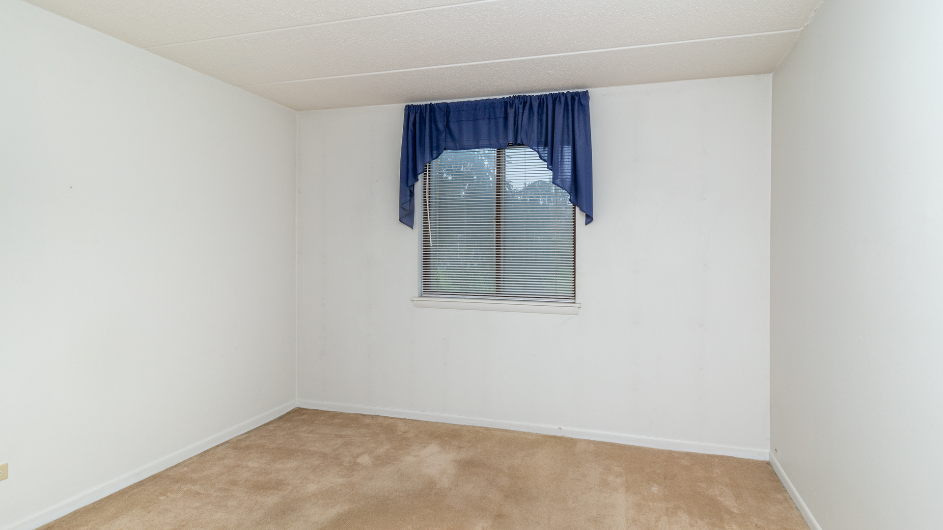 523 Timber Ridge Drive, Unit 102 Carol Stream, IL 60188 - Photo 10 of 15