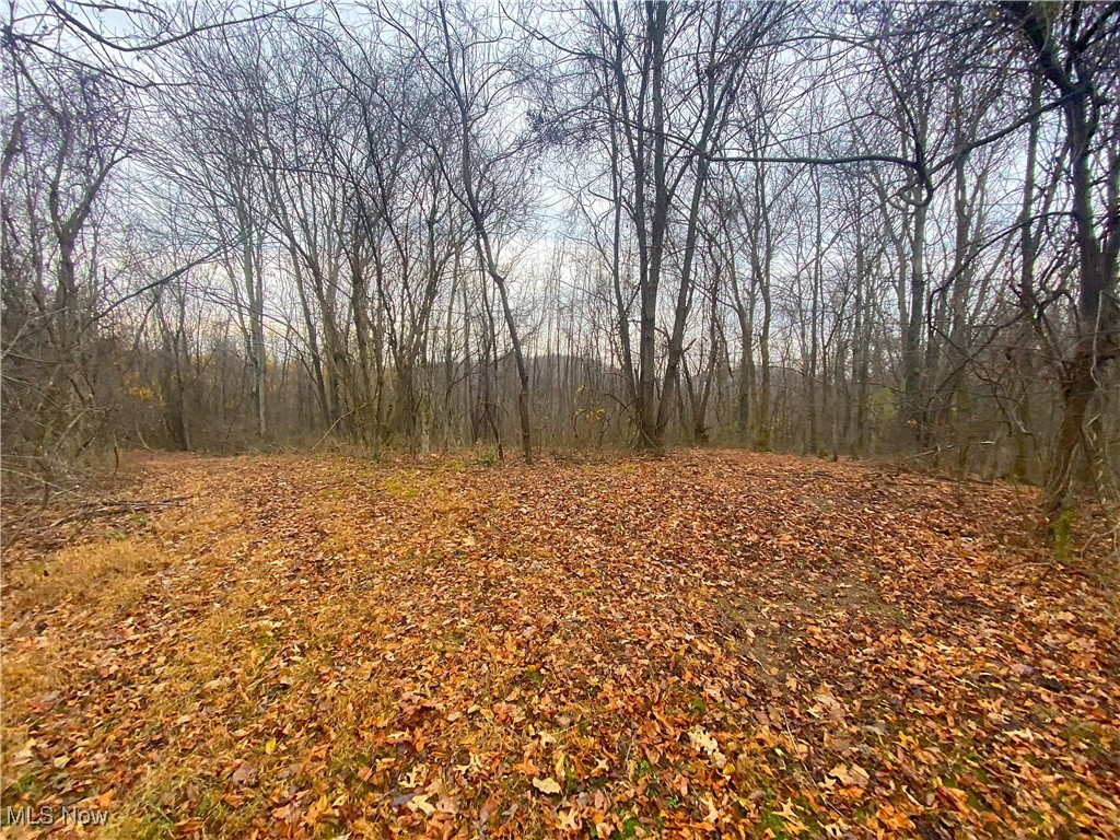 Standing Rock Road Kimbolton, OH 43749 - Photo 10 of 13 View of landscape