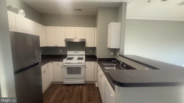 a kitchen with a sink a stove and refrigerator