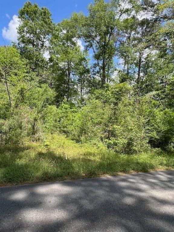 Jeane Chapel Road Leesville, LA 71446 - Photo 4 of 6