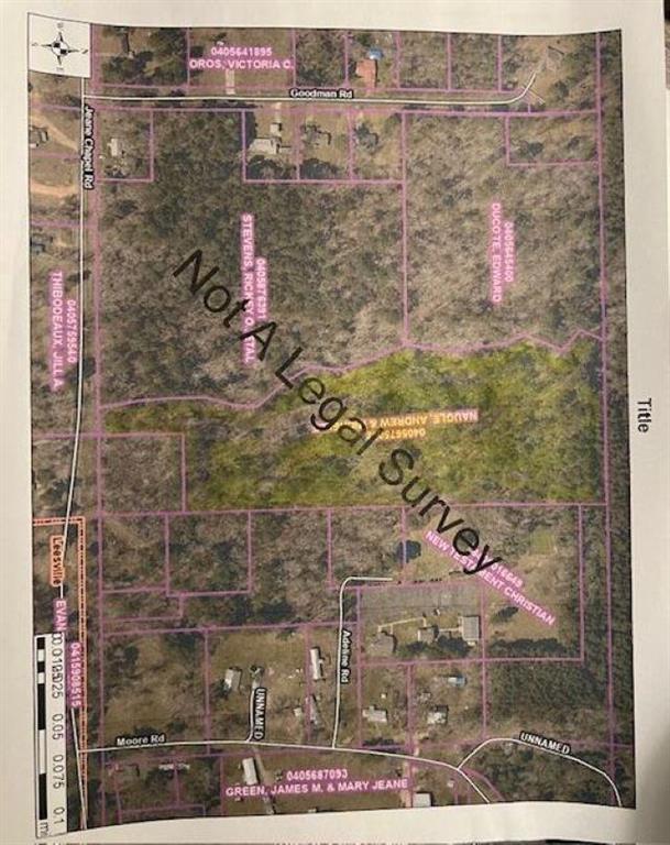 Jeane Chapel Road Leesville, LA 71446 - Photo 6 of 6