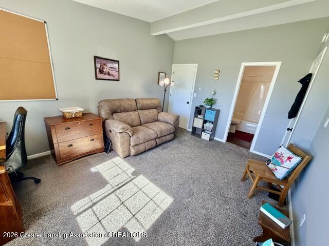 3901 Bostedor Road Eaton Rapids, MI 48827 - Photo 26 of 44 IMG_1645