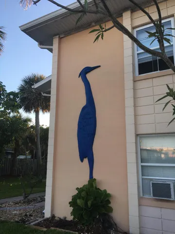 a close up of a potted plant