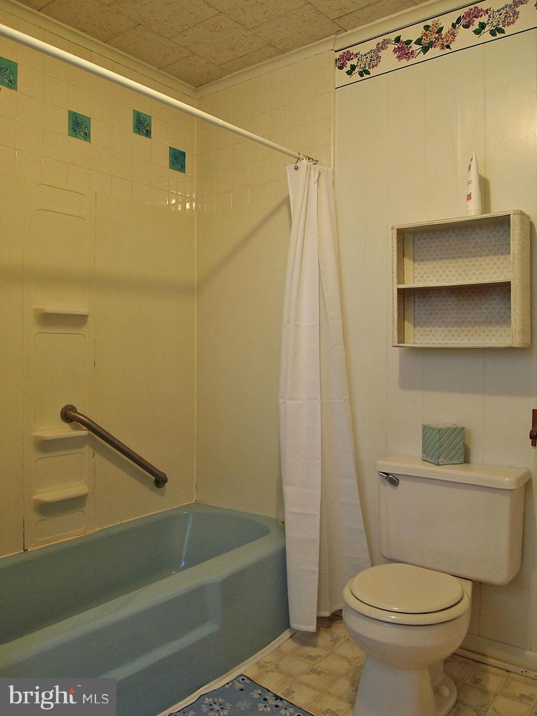 2364 Leetown Road Summit Point, WV 25446 - Photo 11 of 29 Bathtub