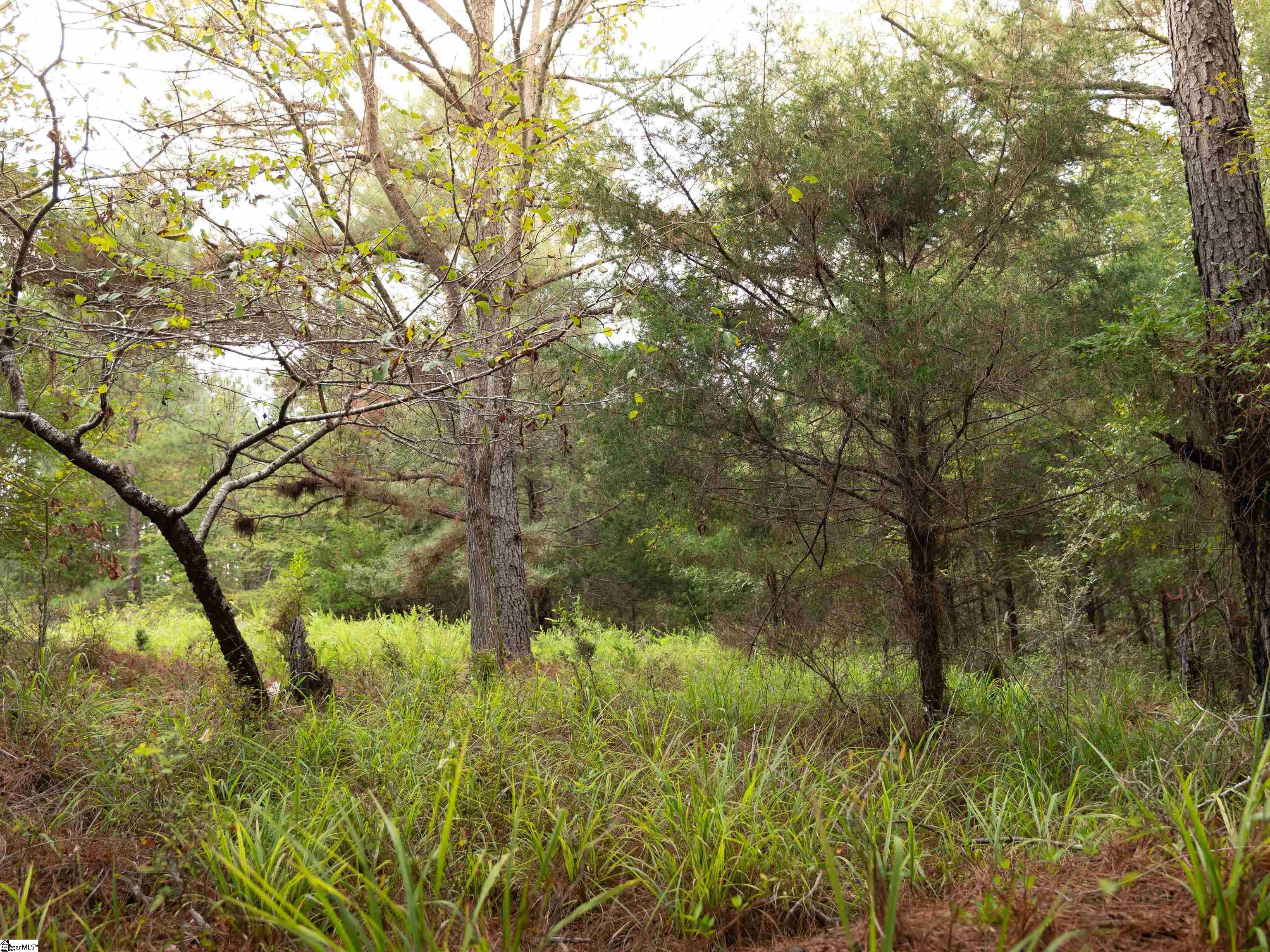 0 Neal Shoals Road Union, SC 29379 - Photo 14 of 19