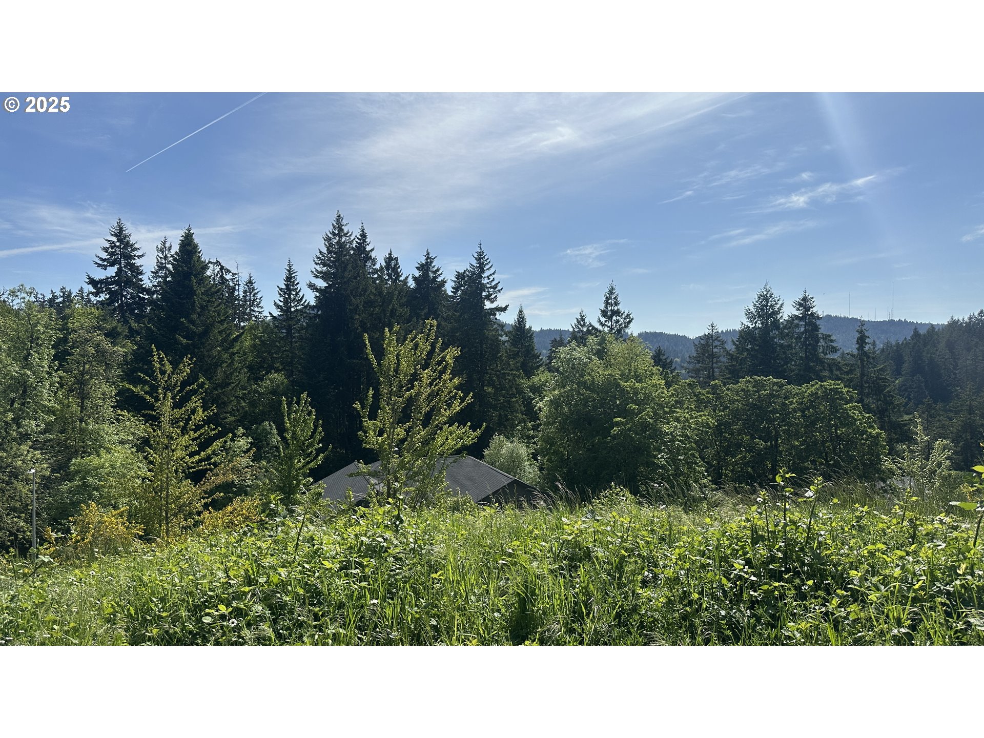 Wendell Lane Eugene, OR 97405 - Photo 12 of 19