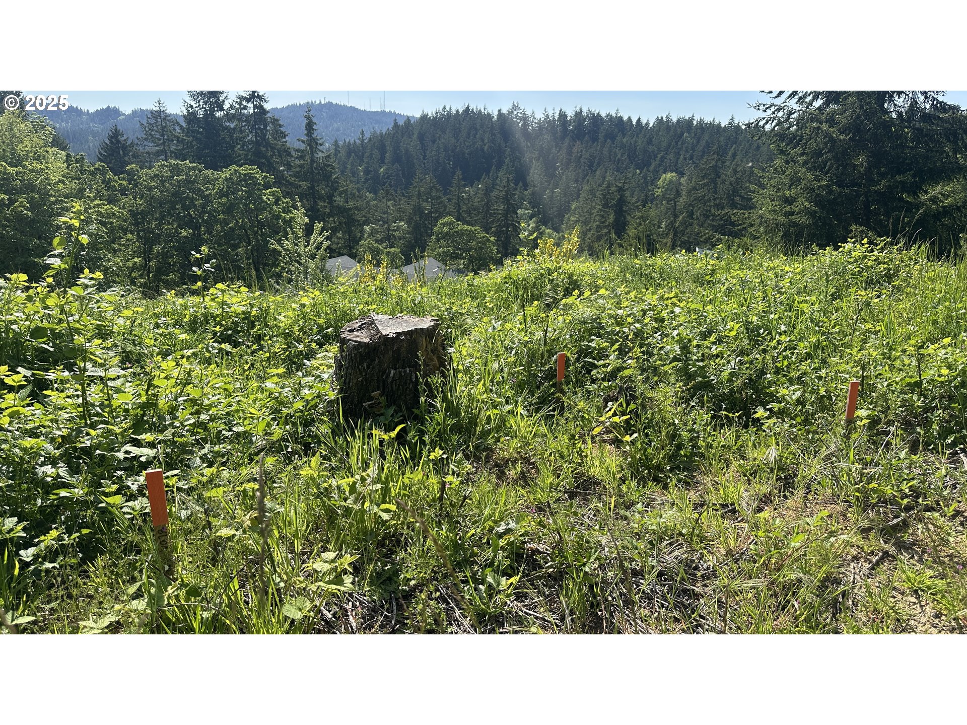 Wendell Lane Eugene, OR 97405 - Photo 13 of 19