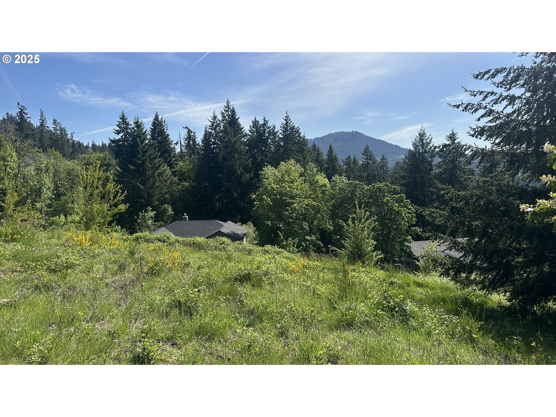 Wendell Lane Eugene, OR 97405 - Photo 17 of 19