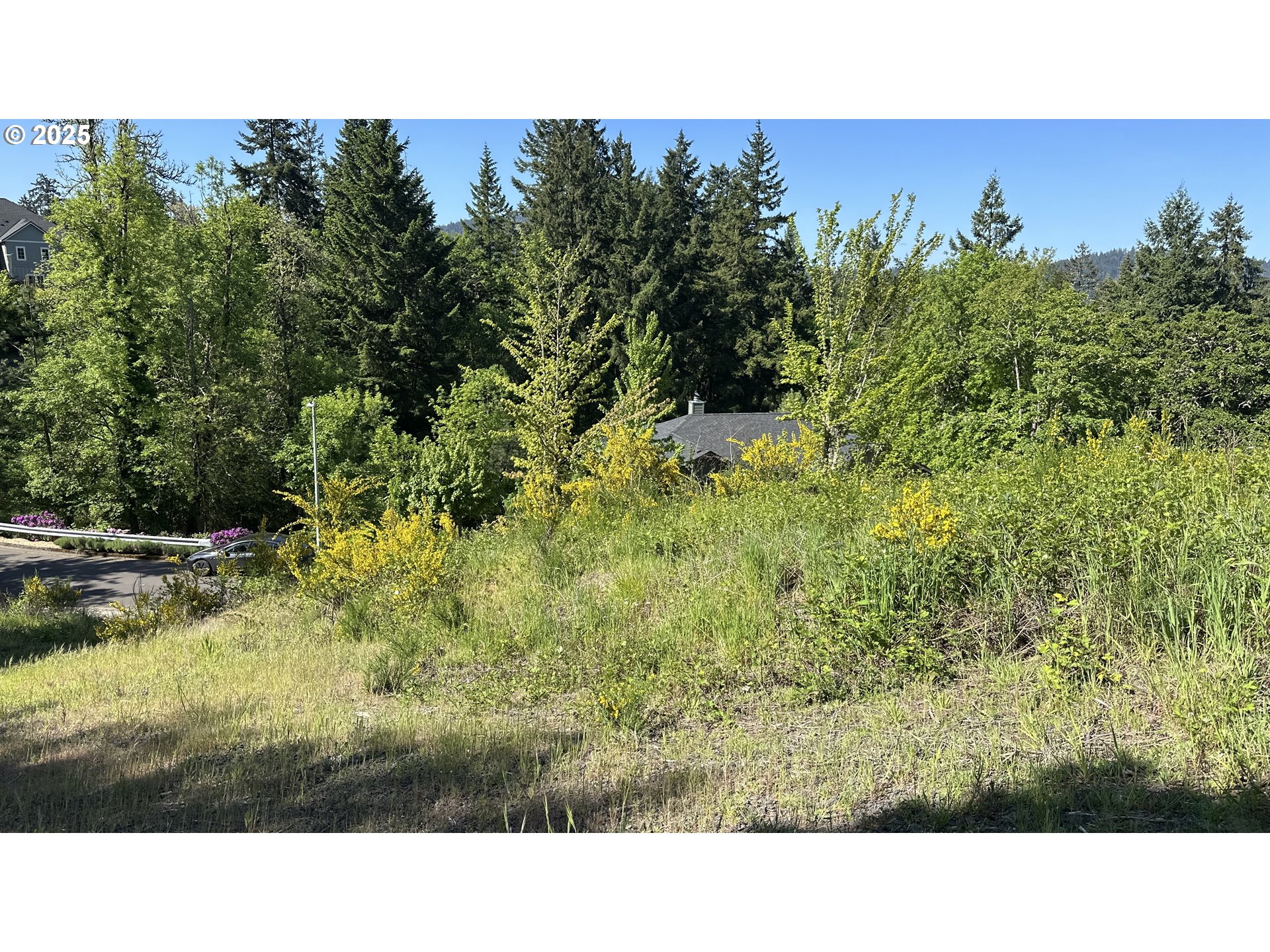 Wendell Lane Eugene, OR 97405 - Photo 4 of 19