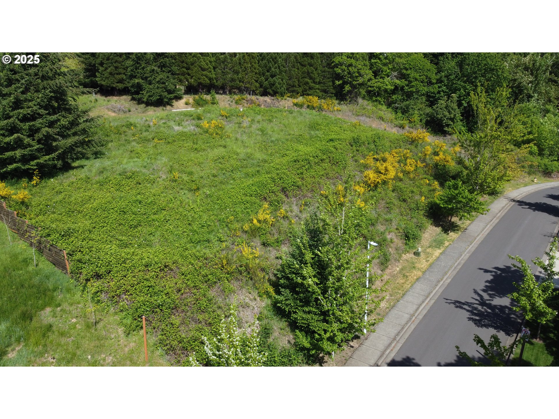 Wendell Lane Eugene, OR 97405 - Photo 5 of 19