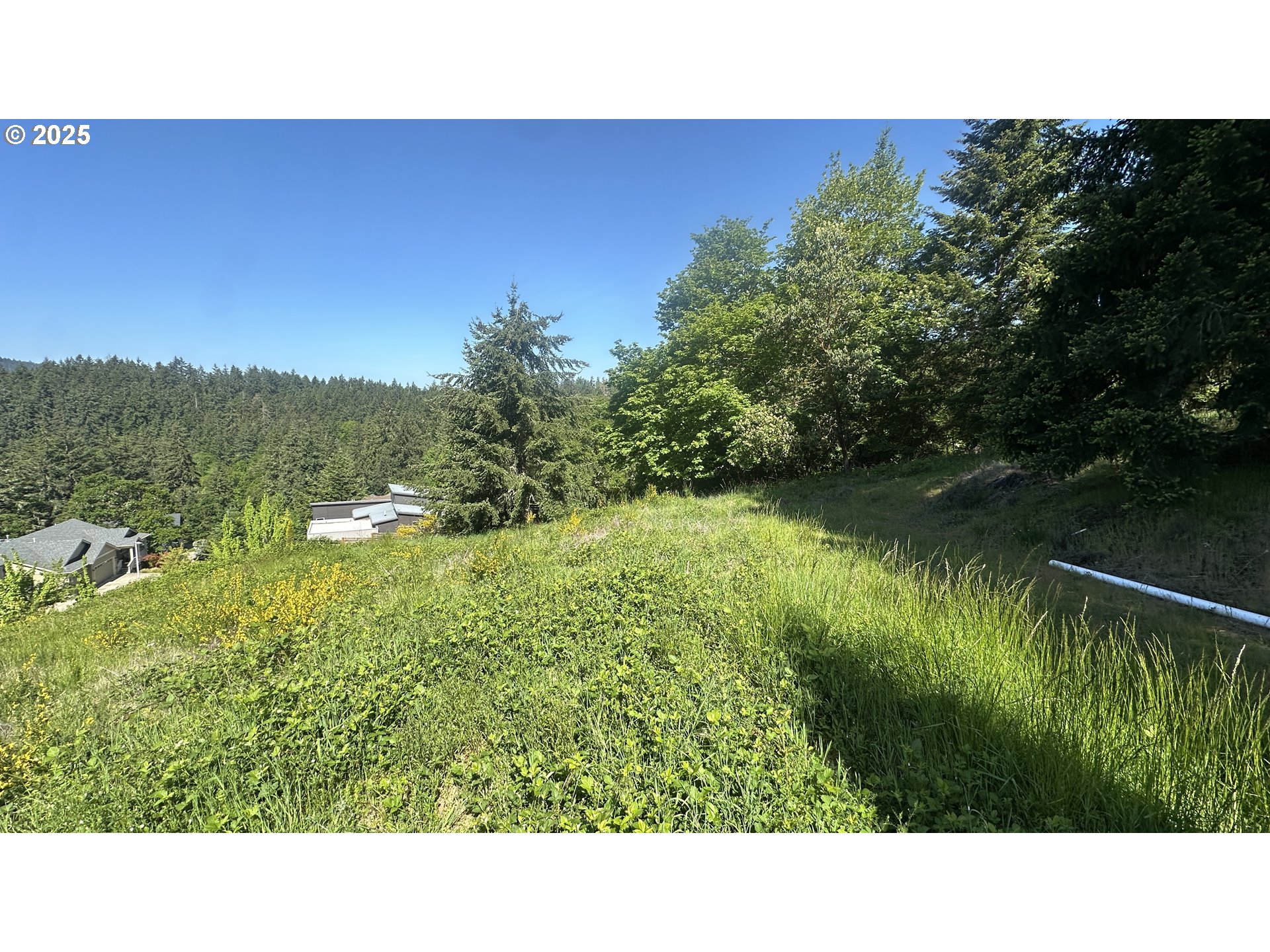 Wendell Lane Eugene, OR 97405 - Photo 8 of 19