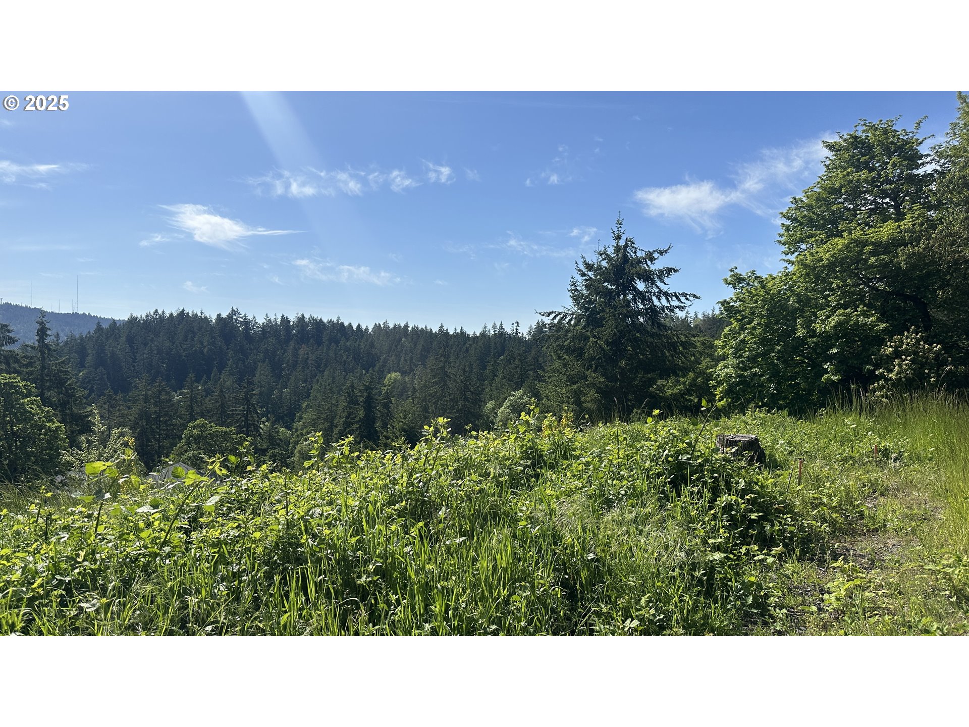 Wendell Lane Eugene, OR 97405 - Photo 10 of 19