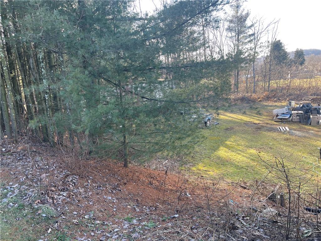 184 Pine Run Church Road Apollo, PA 15613 - Photo 4 of 16