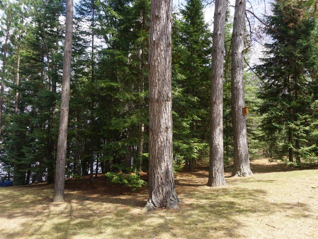 1320 North Big Lake Loop Road Three Lakes, WI 54562 - Photo 24 of 24 Gallery Image 24