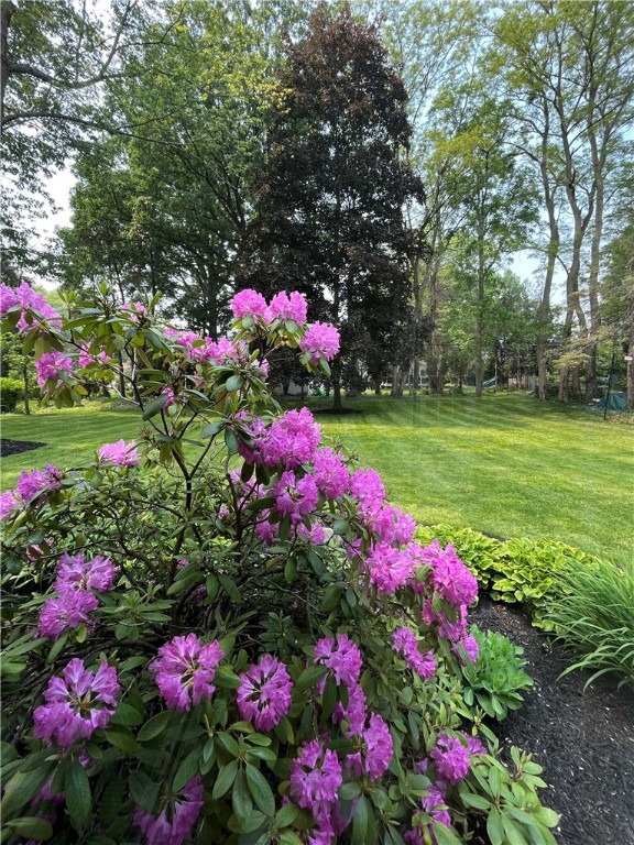 65 Jackson Rd Extension Penfield, NY 14526 - Photo 15 of 48 Gardens