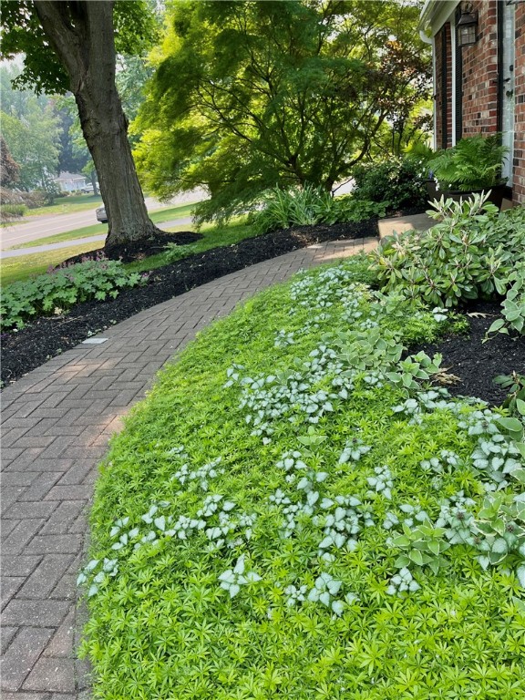 65 Jackson Rd Extension Penfield, NY 14526 - Photo 7 of 48 Front Walkway