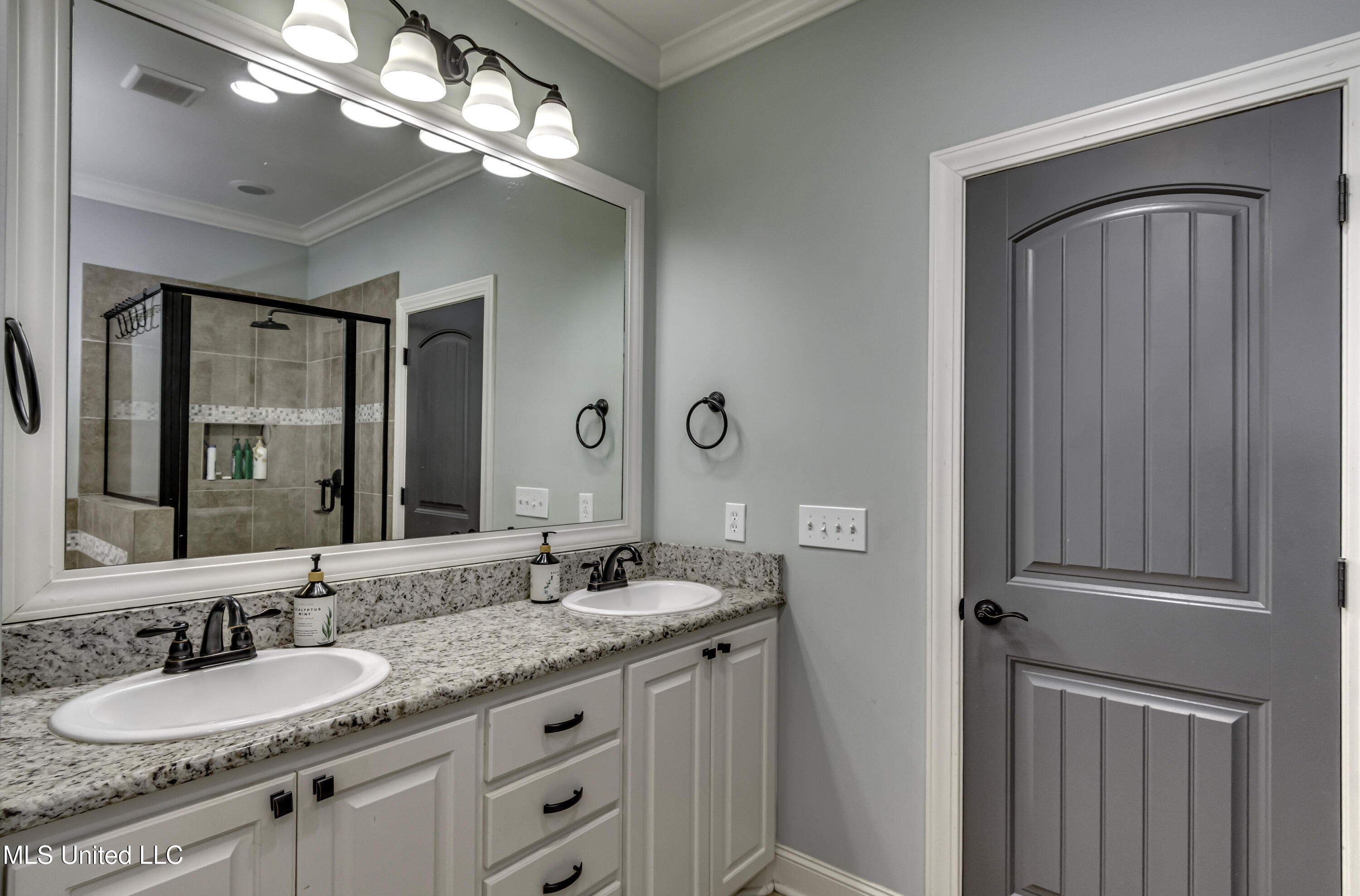 167 Brisco Street Madison, MS 39110 - Photo 25 of 56 167 Brisco--44