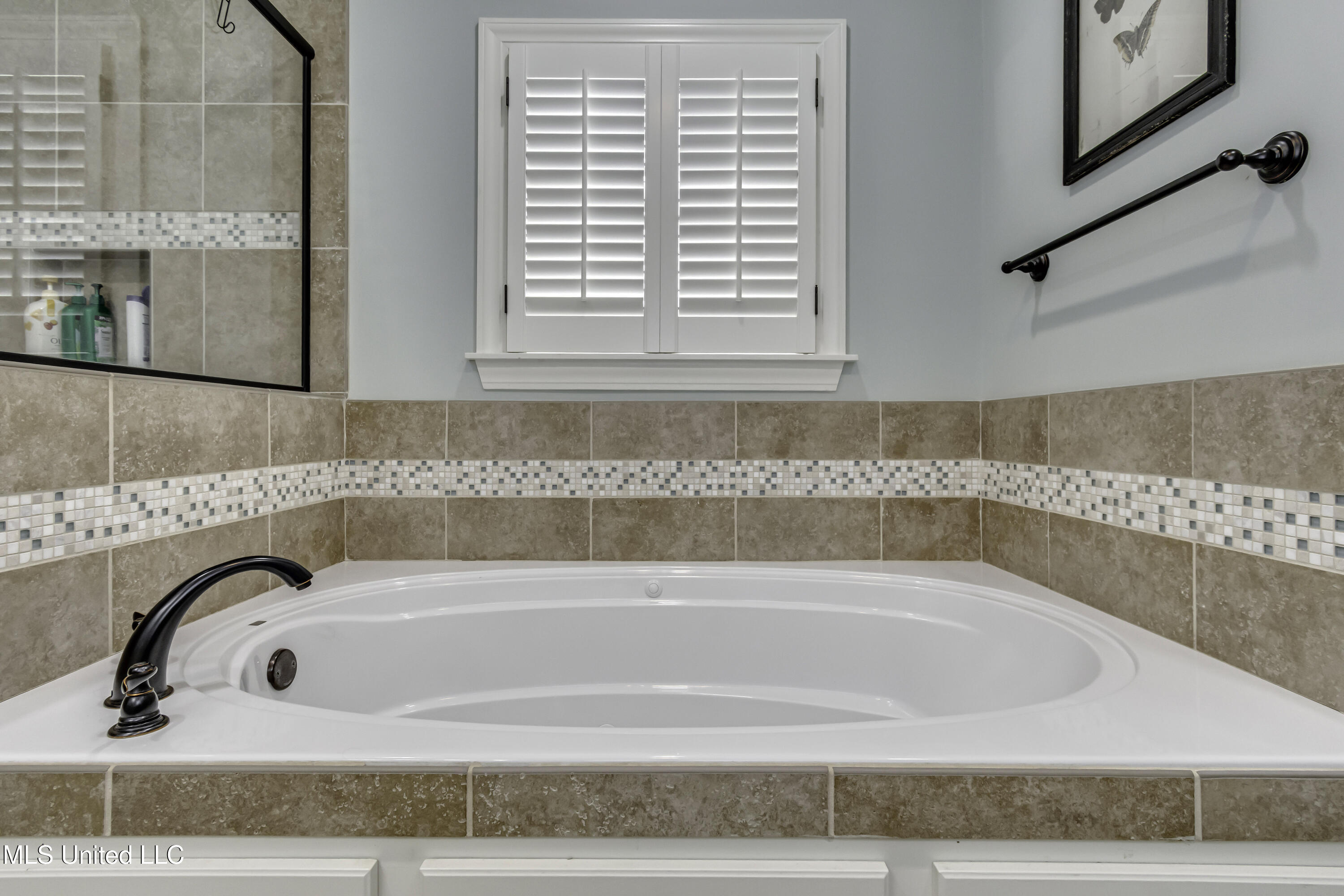 167 Brisco Street Madison, MS 39110 - Photo 26 of 56 167 Brisco--45