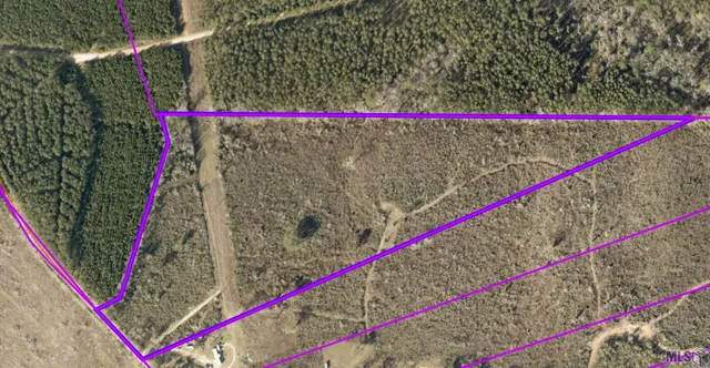 $241,335 | Tbd-tract 1 Gilead Road, Clinton, LA 70722