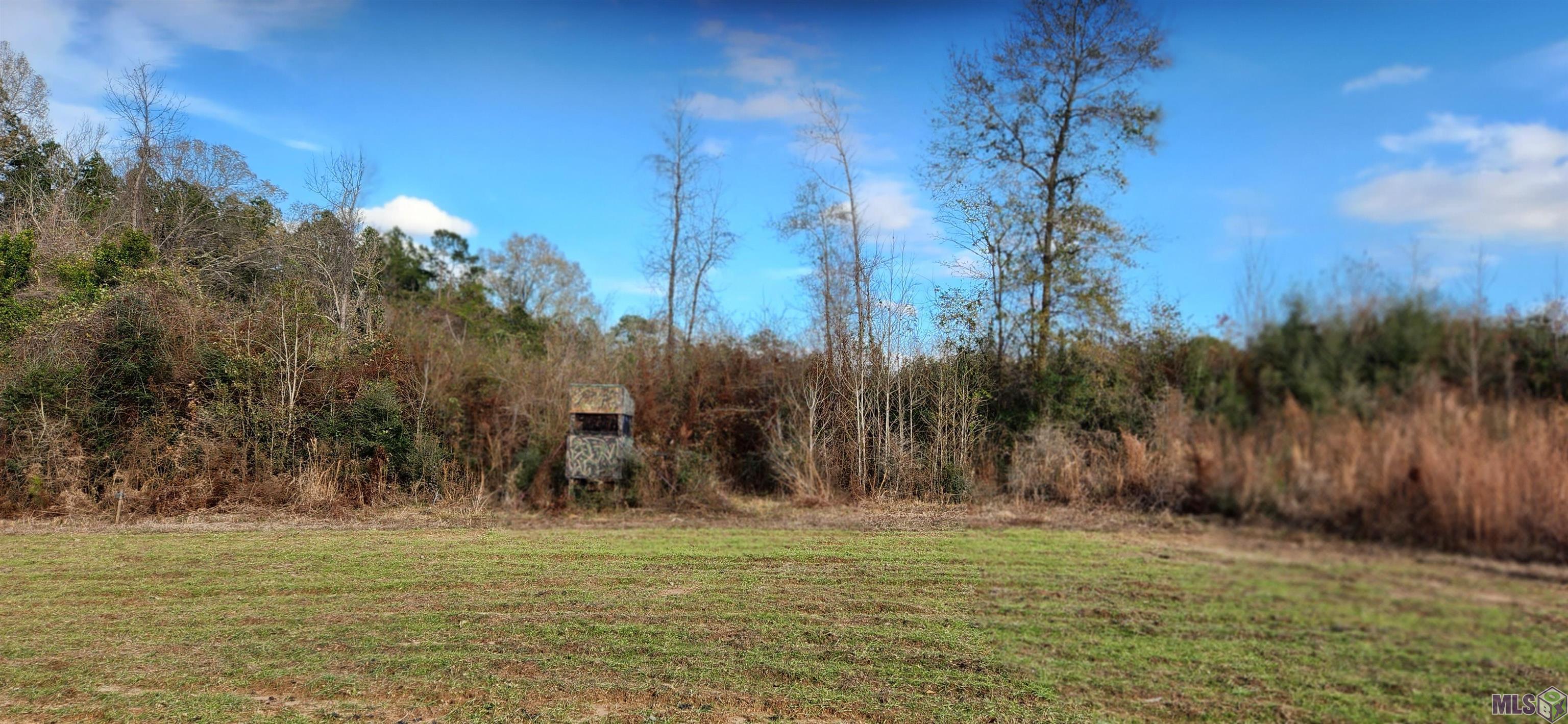 Tbd-tract 1 Gilead Road Clinton, LA 70722 - Photo 11 of 11