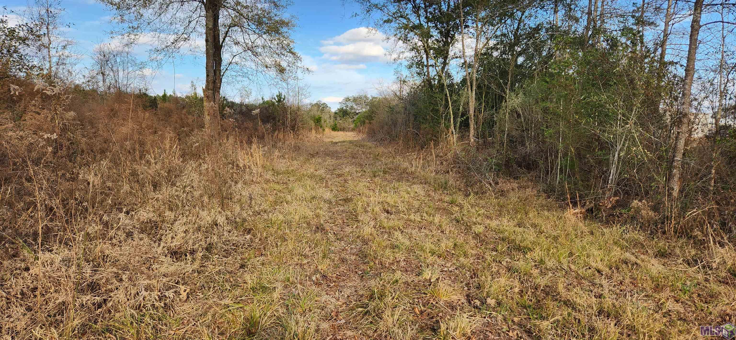 Tbd-tract 1 Gilead Road Clinton, LA 70722 - Photo 2 of 11