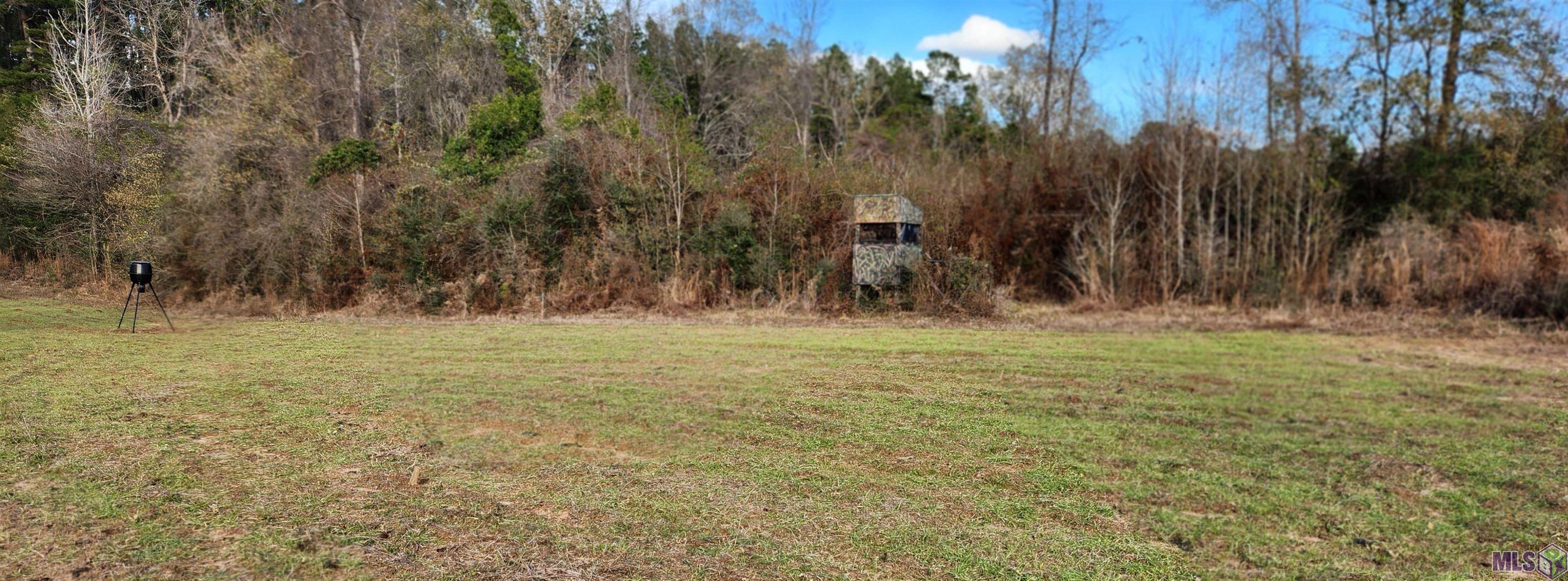 Tbd-tract 1 Gilead Road Clinton, LA 70722 - Photo 4 of 11