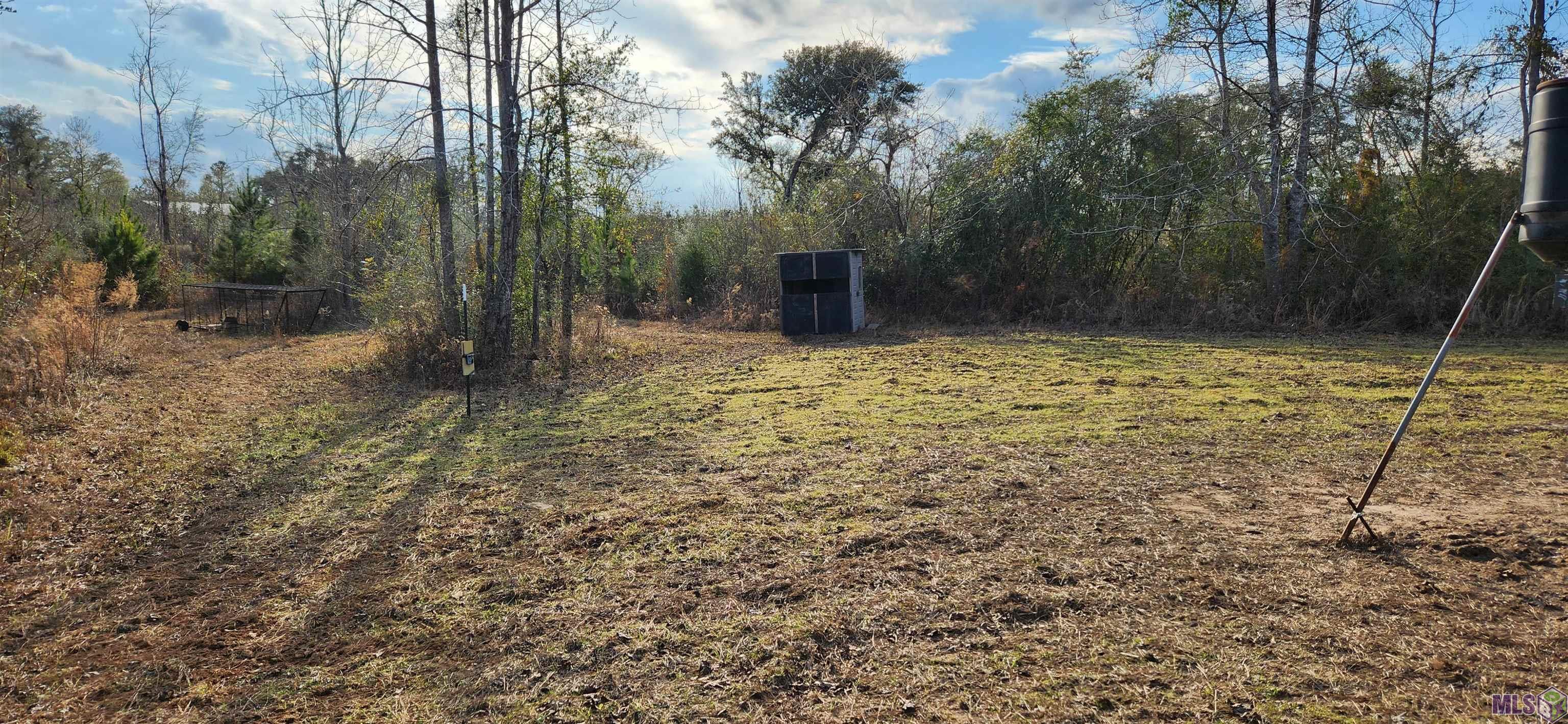 Tbd-tract 1 Gilead Road Clinton, LA 70722 - Photo 7 of 11