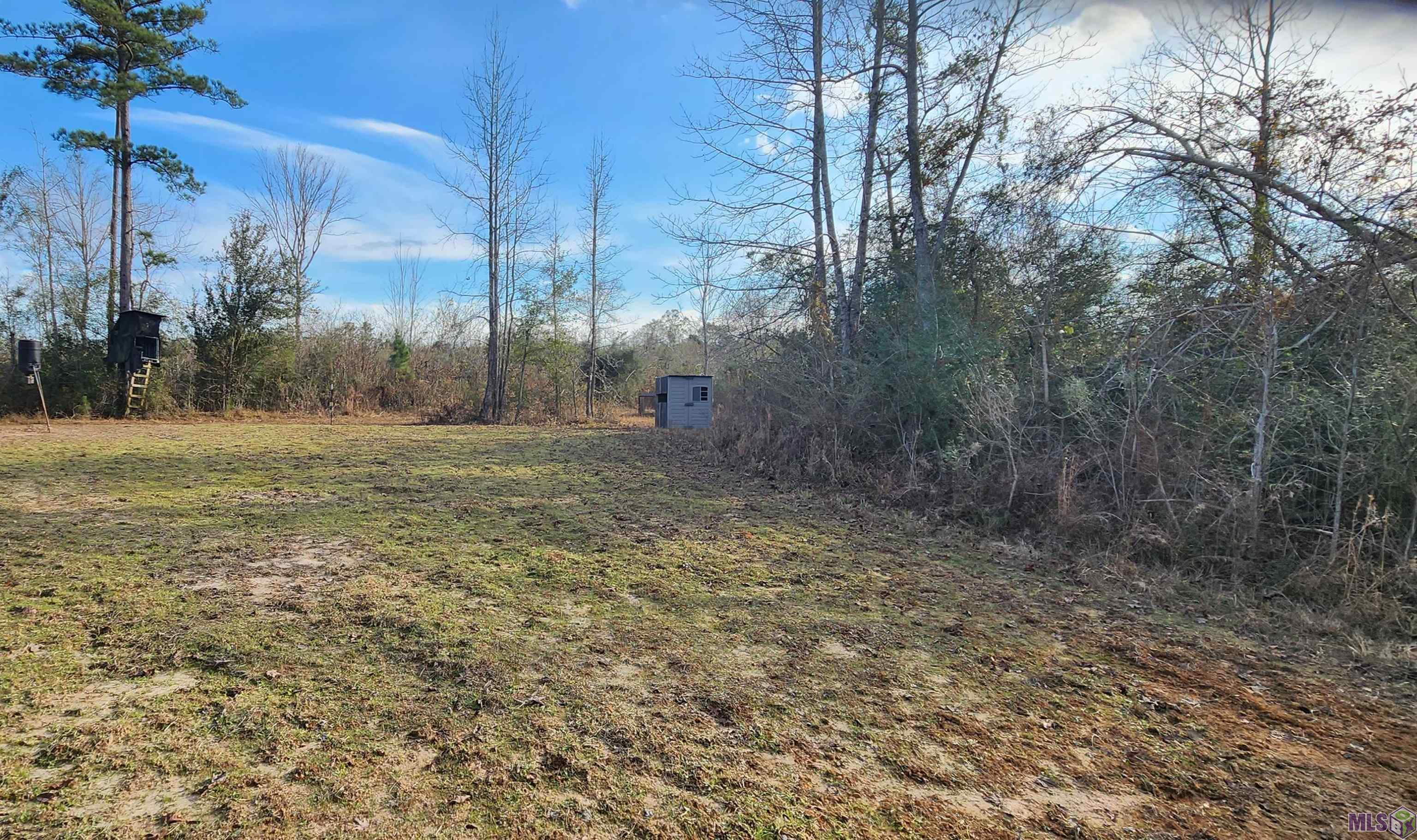 Tbd-tract 1 Gilead Road Clinton, LA 70722 - Photo 8 of 11