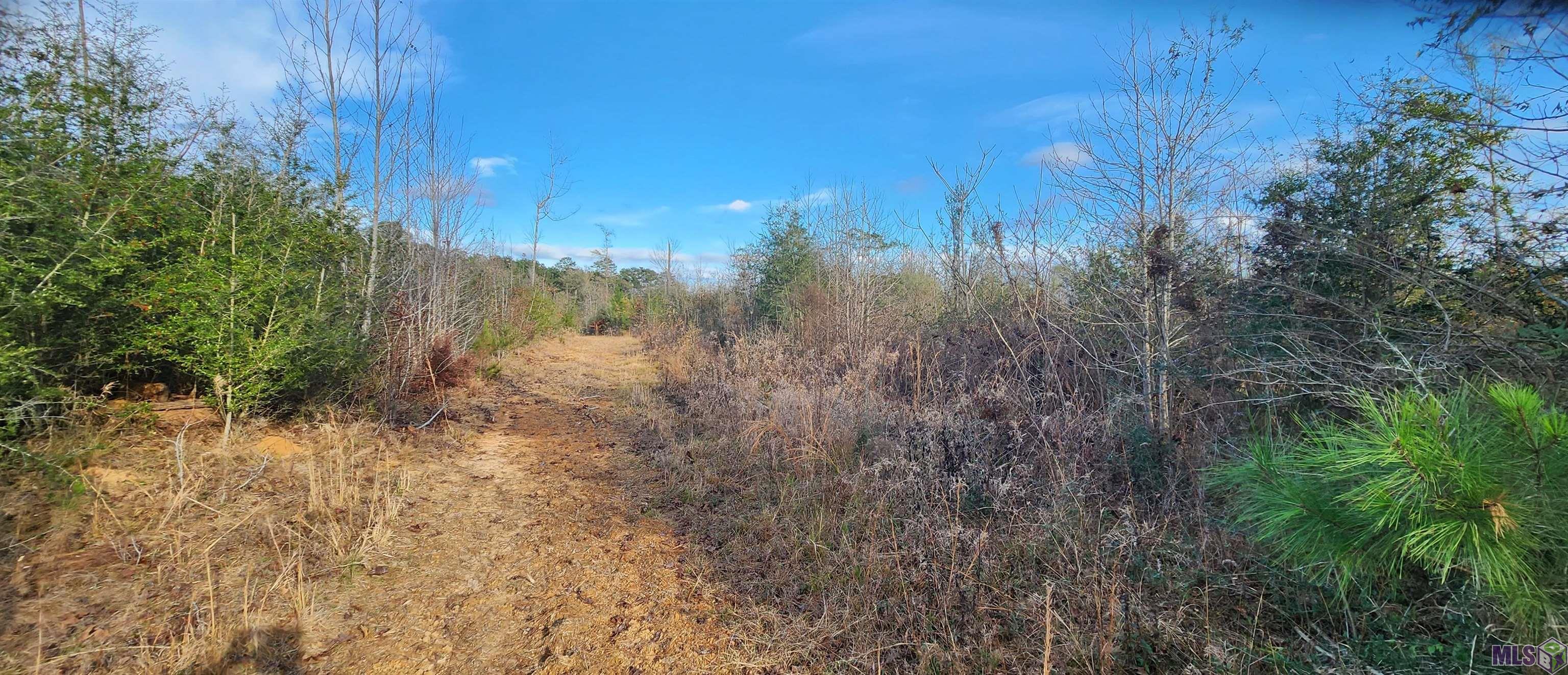 Tbd-tract 1 Gilead Road Clinton, LA 70722 - Photo 9 of 11