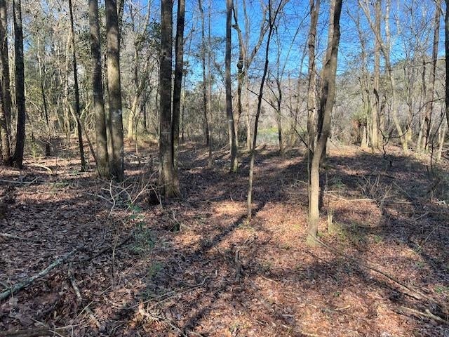 55-ac Cool Springs Road Opp, AL 36467 - Photo 4 of 30 Gallery Image 4