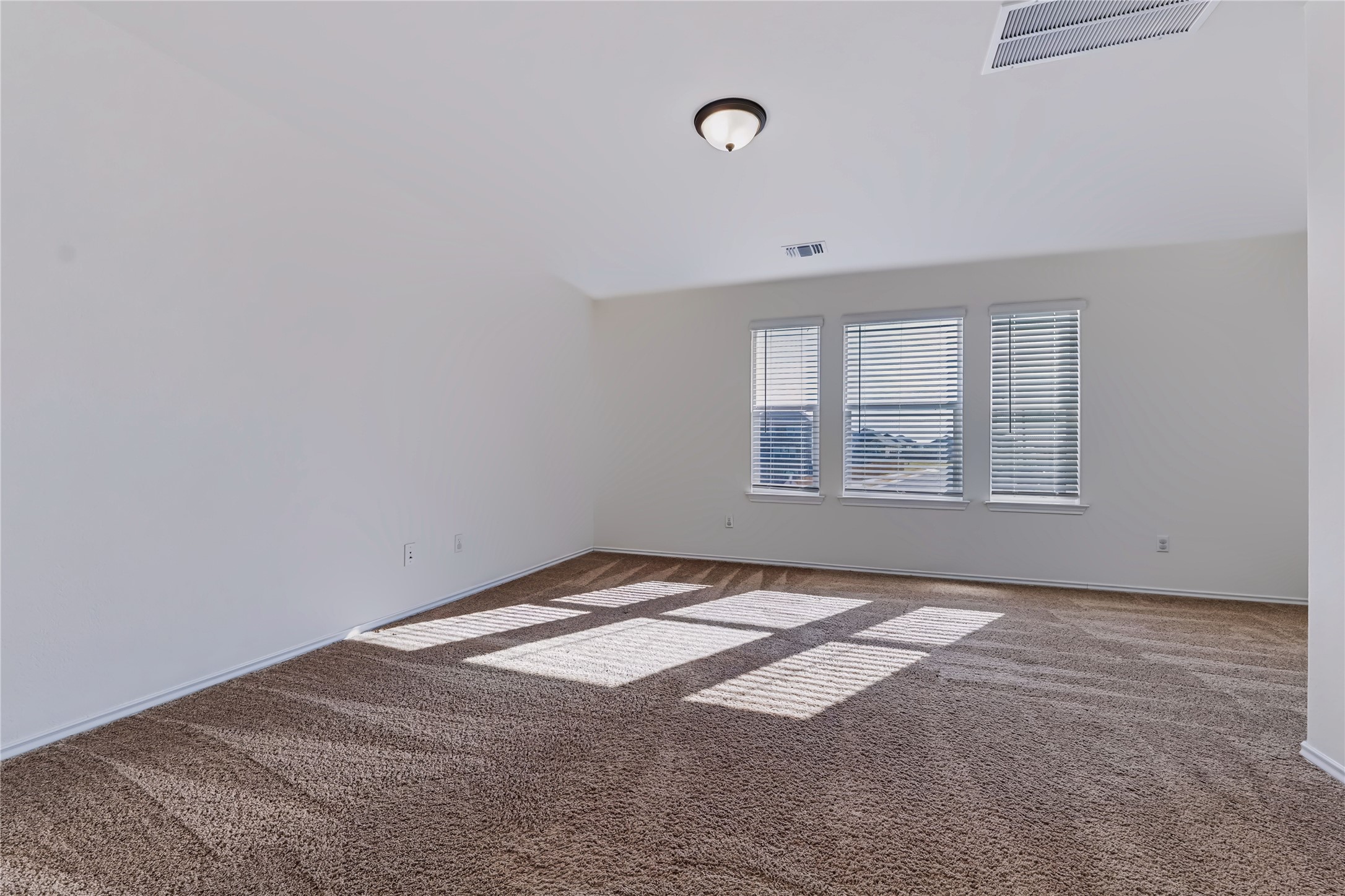 4600 Alfano Loop Round Rock, TX 78665 - Photo 16 of 34 Primary bedroom featuring generous proportions, multiple windows, and flexible furniture placement.