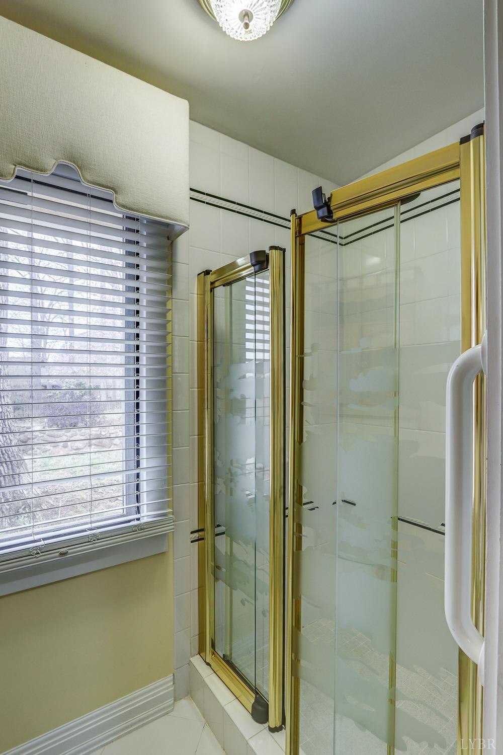 117 Sailview Drive Forest, VA 24551 - Photo 42 of 55 a bathroom with a shower and a window
